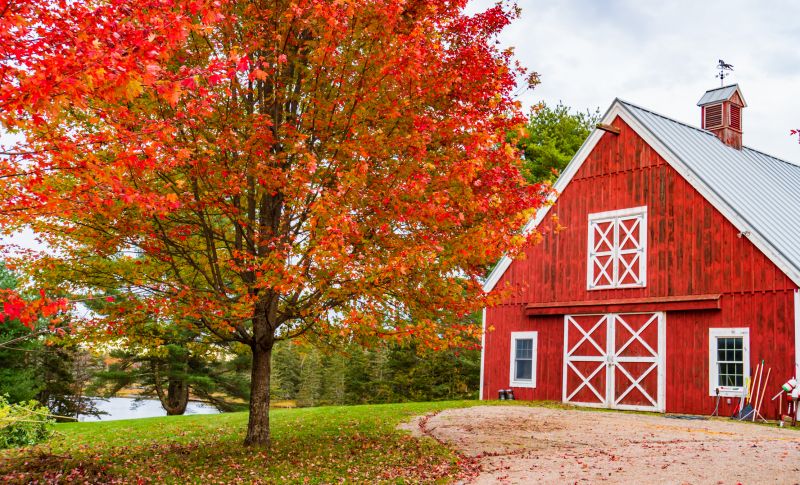 Barn Remodeling in Olathe, KS